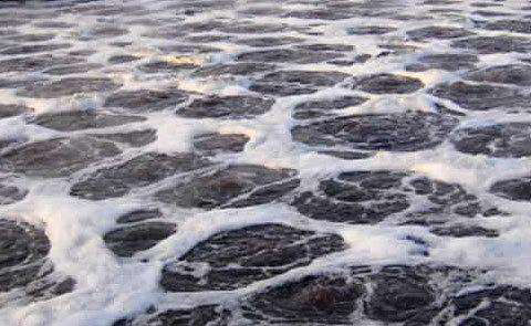 抄紙白水消泡劑應用場景